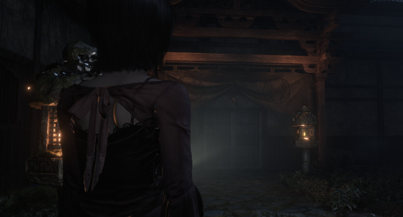 零红蝶REMAKE修改器 瞬间相机冷却|无限胶卷 体验版适配